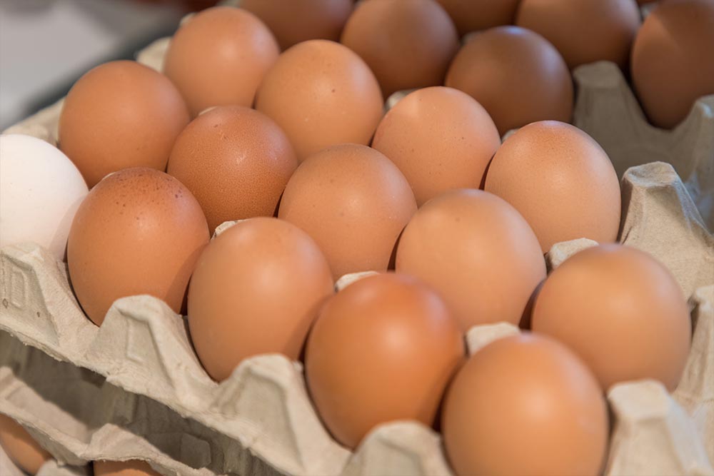 querbeet produkte eier